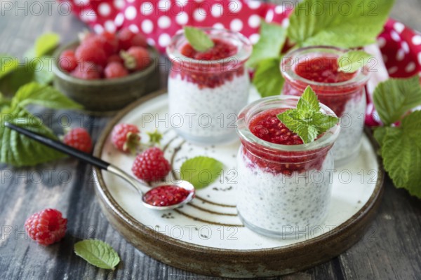 Healthy breakfast. Glass jars with chia pudding with raspberry and jam or smoothies with chia seeds on rustic table