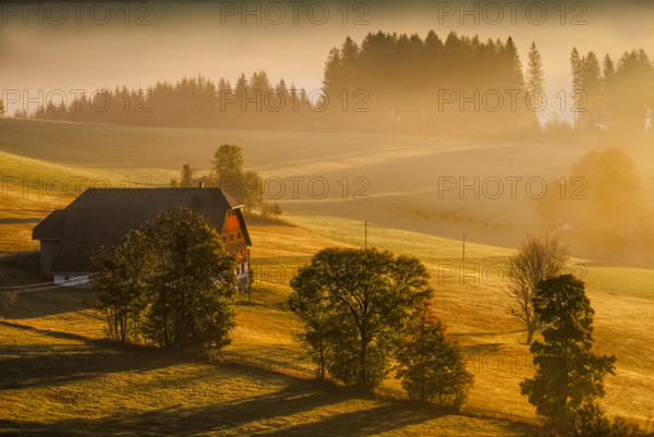 Farm in the southern Black Forest