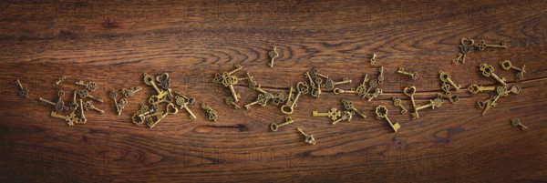 Magical bronze keys on a wooden oak surface in panorama format