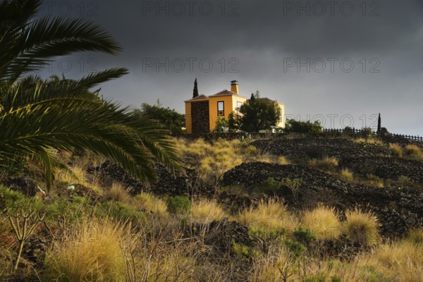 Like all the Canary Islands, La Palma is of volcanic origin, but has a lot of greenery. Landscapes near Todophe, ESP, Spain, Canary Islands