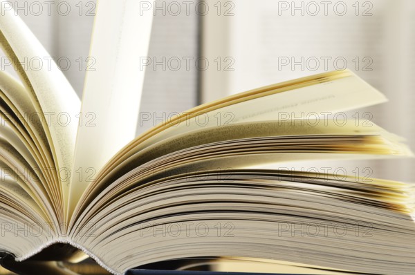 Composition with hardcover books in the library