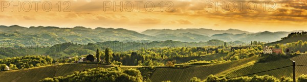 Panoramic view at famous wine street in south styria, Austrian destination, tuscany like vineyard hills. Tourist destination