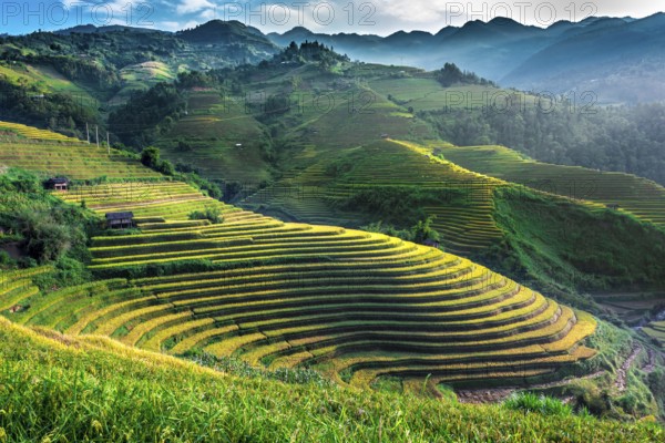 Landscape view of rice fields in Mu Cang Chai District, Yen Bai Province, North Vietnam