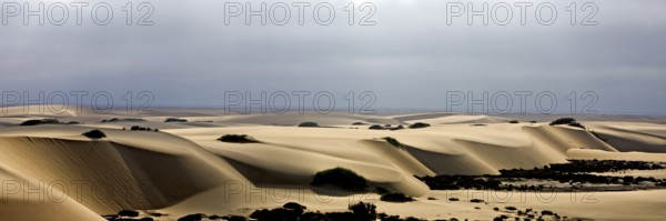 Sand dunes, desert near Walvis Bay in Namibia