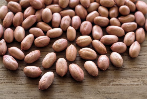 Pea nuts (Arachis hypogaea Linn) ground nuts, South India, India, Asia