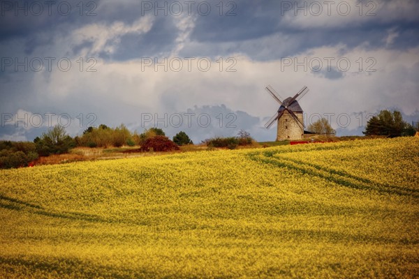 Windmill, Devil's Mill near Warnstedt Harz Mountains