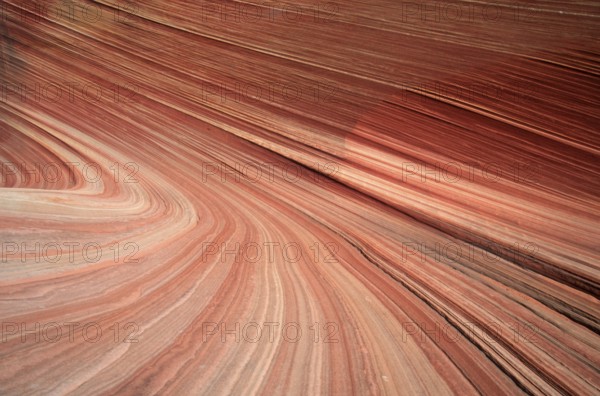Sandstone formations, Paria Sandhills, Vermillion Cliffs, Utah, USA
