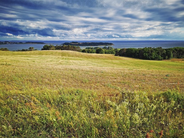 Mönchgut Bodden landscape near Groß Zicker, island of Rügen