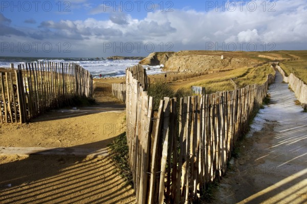 Paths to the beach, Cote Sauvage, Quiberon Peninsula, Morbihan, Brittany, Ile de Quiberon, France