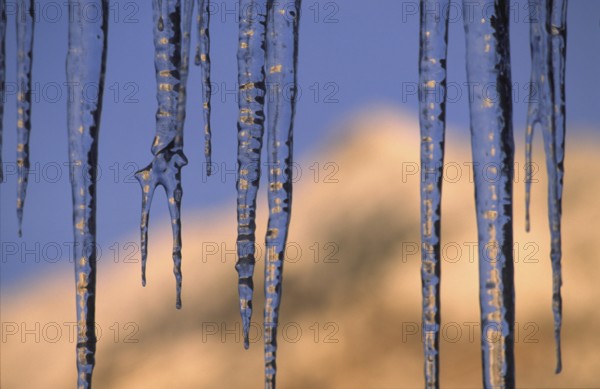 Icicle, Winter, Ice