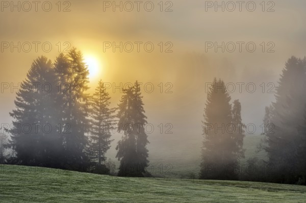Beautiful autumn sunrise in a misty landscape, seen in Bavaria, Germany