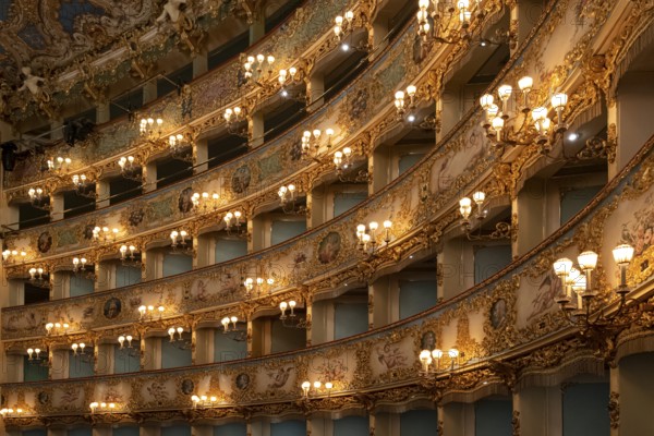 Interior view, theatre, Teatro La Fenice, Venice, Veneto, Italy
