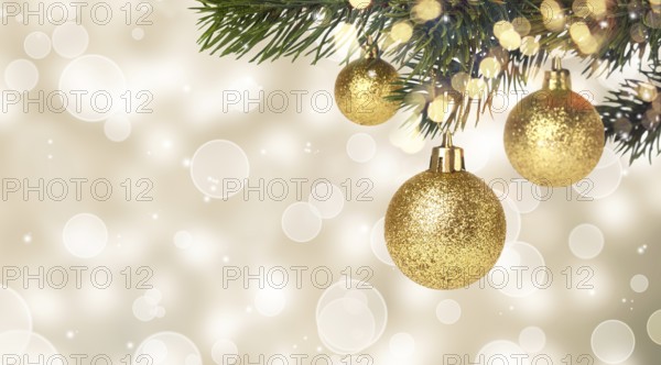 Christmas balls hanging on snowy fir tree. New years card