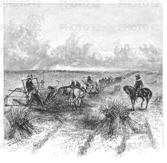Agriculture in Dakota, USA: Reaping. Image source: Harpers Monthly magazine march 1880