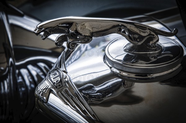 Close-up of an old Jaguar automobile emblem