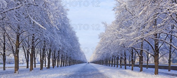 Snow-covered avenue in Herrenhausen, Hanover, Lower Saxony, Germany