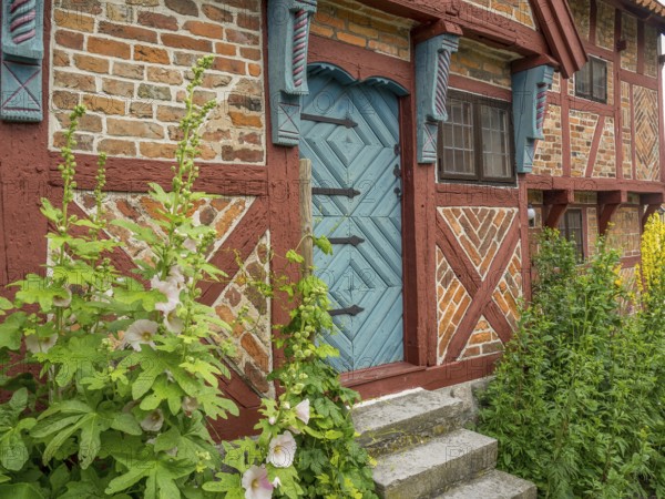 Small rustic house with blue wooden door and green plants in the entrance area, svaneke, bornholm, baltic sea, denmark, scandinavia
