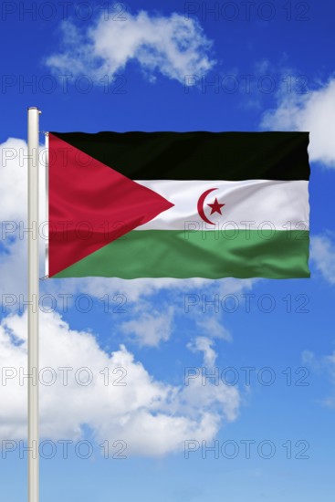 Africa, North Africa, Western Sahara, national flag, national flag, flag, flagpole, cumulus clouds in front of blue sky, studio