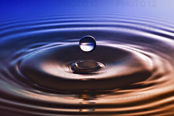 Another drop of water on a blue bronze background