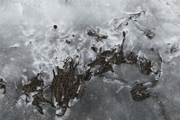 Nature, melting ice pattern, Province of Quebec, Canada