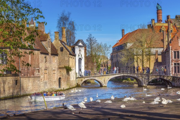 Bruges, Belgium, April 10, 2016: Canal and bridge view with tourists in popular belgian destination, white swans