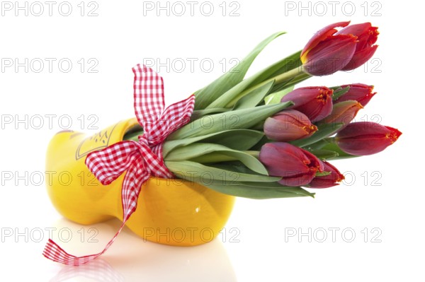 Dutch national products with clogs and tulips