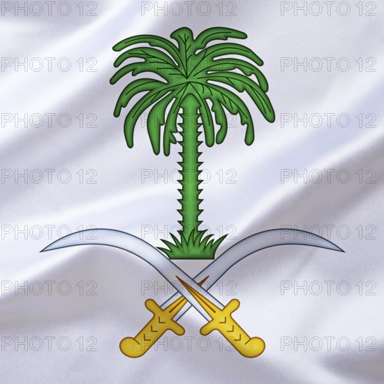 The coat of arms of Saudi Arabia, Studio