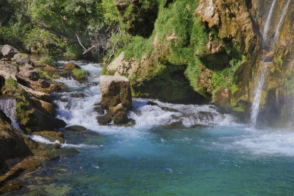 Rapids flowing between moss-covered rocks, accompanied by a small waterfall in the background, Topoljski Buk Kovacic Dalmatia Croatia