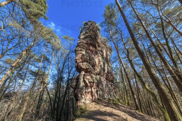 Geiersteinfelsen, Geierstein, Palatinate Forest, Bruchweiler-Bärenbach, Rhineland-Palatinate, Germany