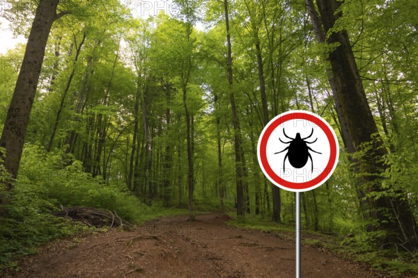Tick insect warning sign in nature forest. Lyme disease and tick-borne meningoencephalitis transmitter