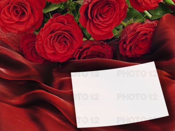 Red Roses With White Greeting Card At Vinous Fabric