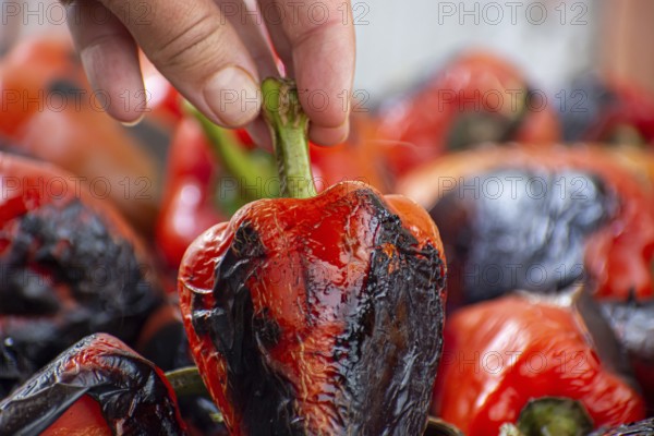 Red peppers roasting on a wood-fired stove in preparation for making ajvar, a traditional serbian dish