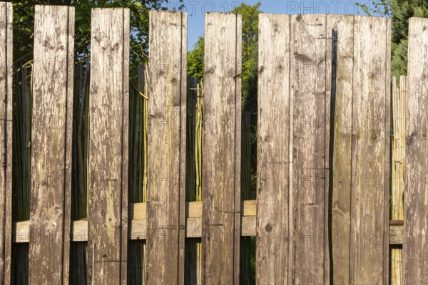 Borken, NRW, Germany, Sunlight illuminating old wooden fence protecting garden in summer