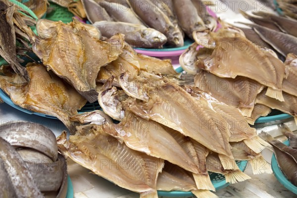 Fish market in Mokpo Korea