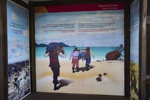 Poster of the Ruta de las Tortugas, history of the tortoises on Galapagos, sailors bring the tortoises on board as provisions, Charles Darwin Research Station, Charles Darwin Research Station, Puerto Ayora, Santa Cruz Island, Santa Cruz Island, Galapagos, Galapagos Islands, Galápagos Islands, Islas Galápagos, Ecuador