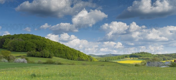Spring holiday in the Rhön near Morles