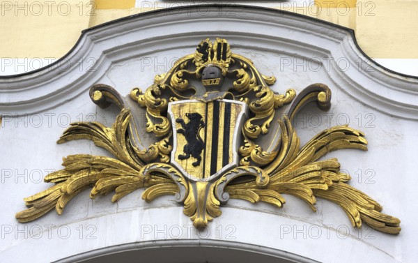This photo was taken on my Dresden visit this year. It shows the city coat of arms and reflects an interesting medieval atmosphere