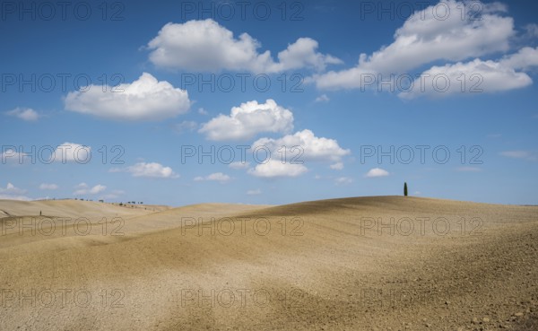 Beautiful idyllic farmland with meadow field at Tuscany area near Pienza touristic village, Italy