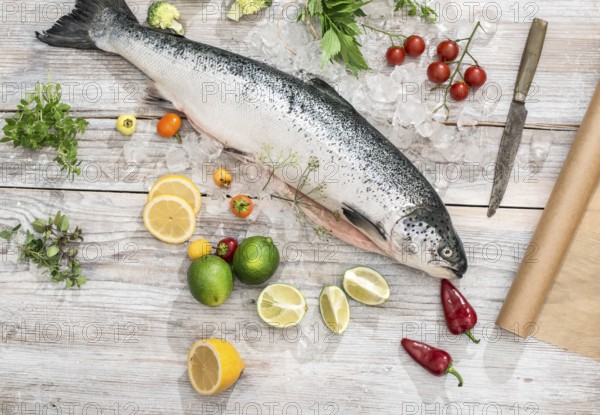 Raw salmon fish in ice and vegetables on white table. Baking paper