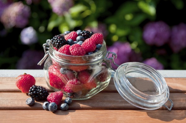 Forest fruit diversity in glass at garden outdoor