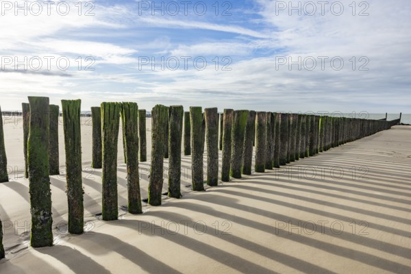 Row of wooden piles, groyne, with algae growth casts shadows on a sunny beach, Groede, Zeeland, Netherlands