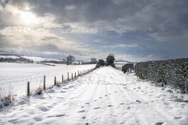Snow Covered footpath (on disused railway) in the Scottish Borders