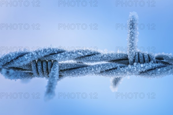 Frosted wire mesh fence in wintertime in blue colours. Frosted iron fence in wintertime in blue colours