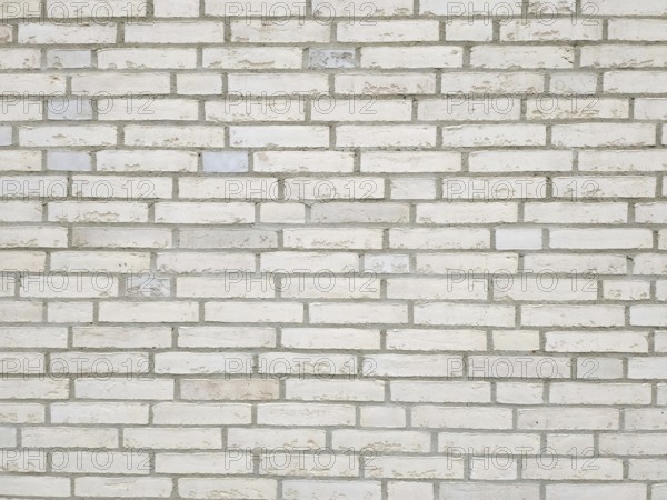 An image of a brick wall white background