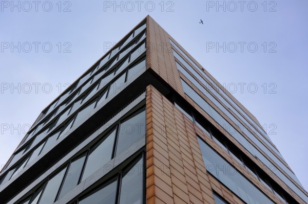 Building in the Port of Hamburg, Hanseatic City of Hamburg, Germany