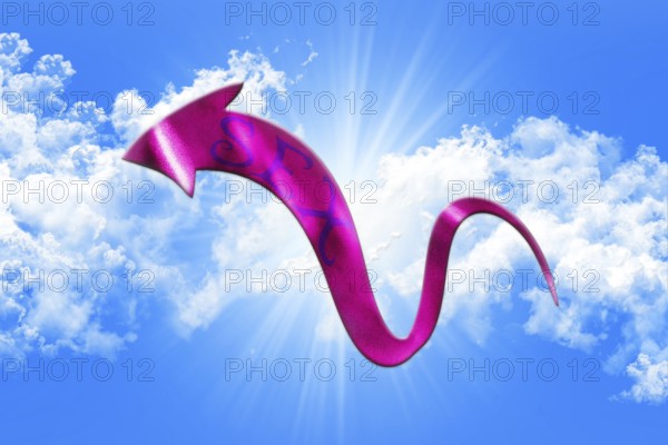 Sex Concept. Arrow With Sex Written On It Showing The Way On Sky and Clouds Background 3D illustration