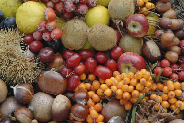 Wild fruit