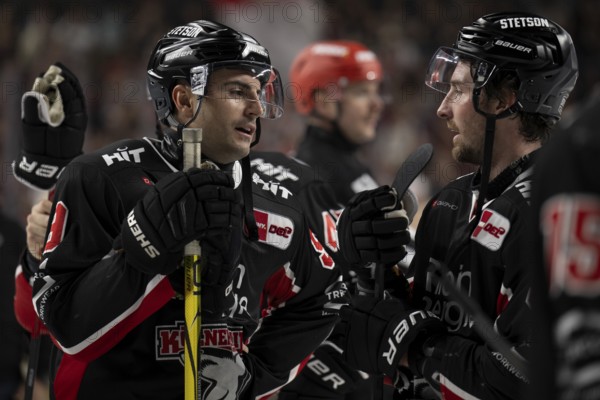 Laura Dick Cologne, LanxessArena, North Rhine-Westphalia, Maximilian Kammerer (Cologne Sharks, #9), PENNY DEL, Cologne Sharks-Nuremberg Ice Tigers on 26/11/2024 at the LanxessArena in Cologne Germany