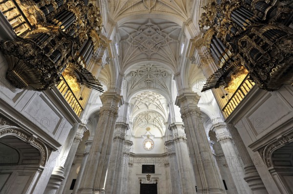 Santa Maria de la Encarnación, Cathedral of Granada, Interior view, Impressive cathedral interior with imposing organs and ornate vaulted ceilings, Granada, Andalusia, Spain