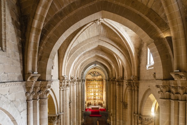 Salamanca, Spain, January 14, 2022: Cathedral of Salamanca. Interior view of the nave and the vaults